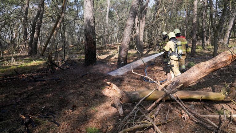 Brandweer blust bosbrand Oss (foto: Gabor Heeres - SQ Vision). 