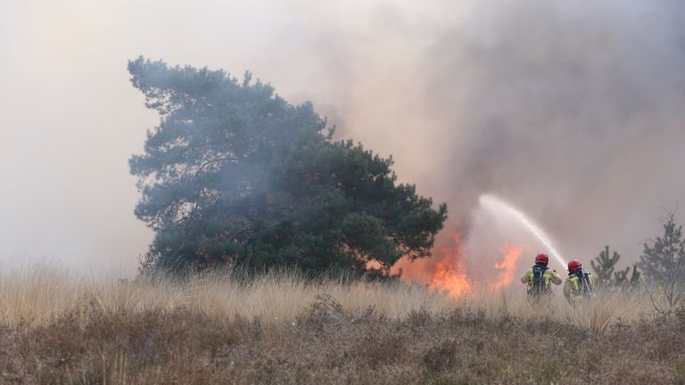 De brandweer  bestrijdt de natuurbrand in Oirschot (foto: Sander van Gils/SQ Vision).