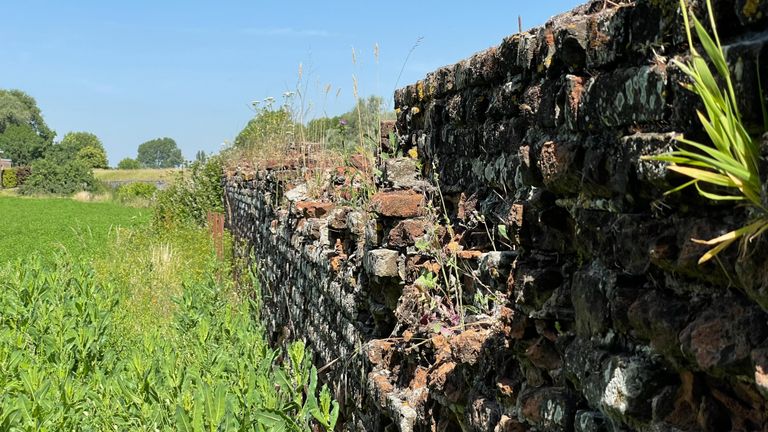 De kloostermuur is er erg slecht aan toe. (foto: Jos Verkuijlen)