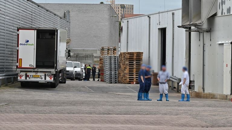 Bij slachterij Vion in Tilburg ging het uitladen van een stier mis (foto: Toby de Kort - SQ Vision).