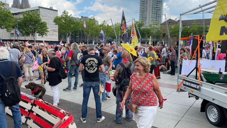 Deelnemers van het protest hebben onder meer Nederlandse en Friese vlaggen bij zich (foto: Jan Waalen).