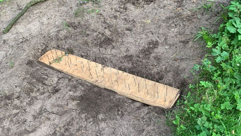 Een van de drie gevonden spijkerplanken (foto: Nick Jeurissen).