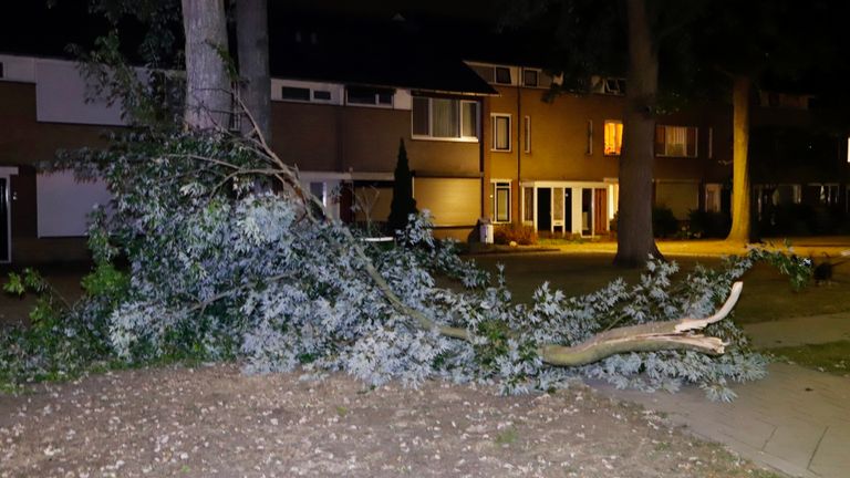 De afgebroken tak miste de vrouw in Cuijk op een haar (foto: SK-Media).