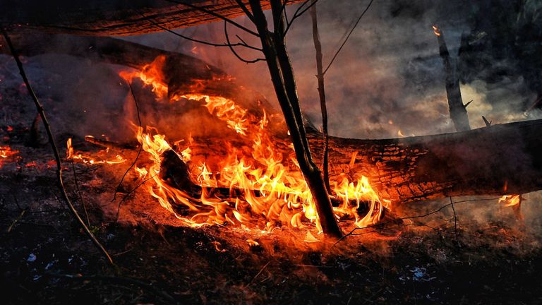 Een deel van het gebied in Oisterwijk dat in brand staat (foto: Toby de Kort/SQ Vision Mediaprodukties).