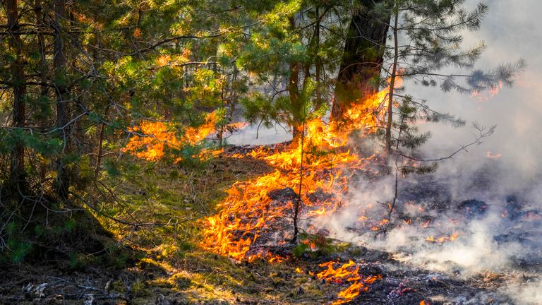 De tweede brandhaard (foto: SQ Vision).