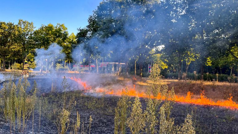 In Oss was een fikse bermbrand (foto: Gabor Heeres/SQ Vision Mediaprodukties).