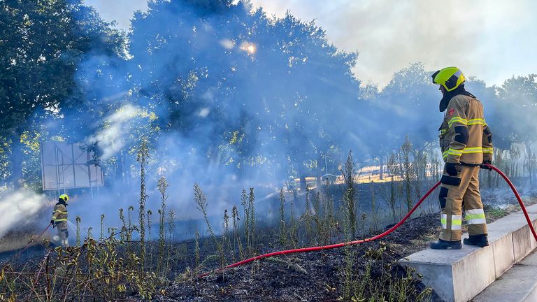 Rook is vervelend, maar kan wel mooie plaatsjes opleveren (foto: Gabor Heeres/SQ Vision Mediaprodukties).