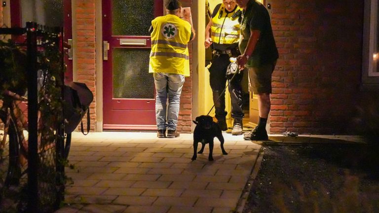 Medewerkers van de dierenambulance ontfermen zich voorlopig over de hond van de man.