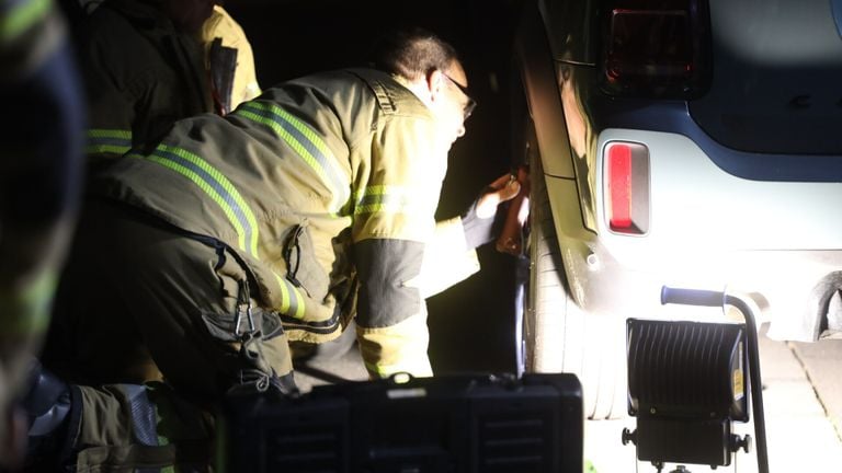 De brandweer probeert het dier tevergeefs te bevrijden (foto: Sander van Gils - SQ Vision).