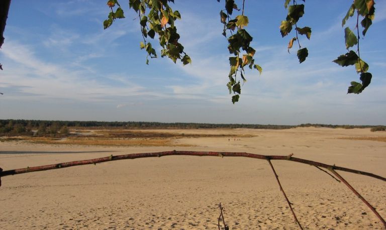 Loonse en Drunense Duinen (Foto: Frans Kapteijns)