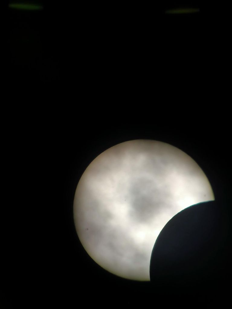 Een hapje uit de zon (foto: Maurice Schuurmans)