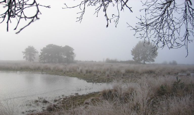 Op verkenning bij het gebied van Huis ter Heide. Foto: Frans Kapteijns.