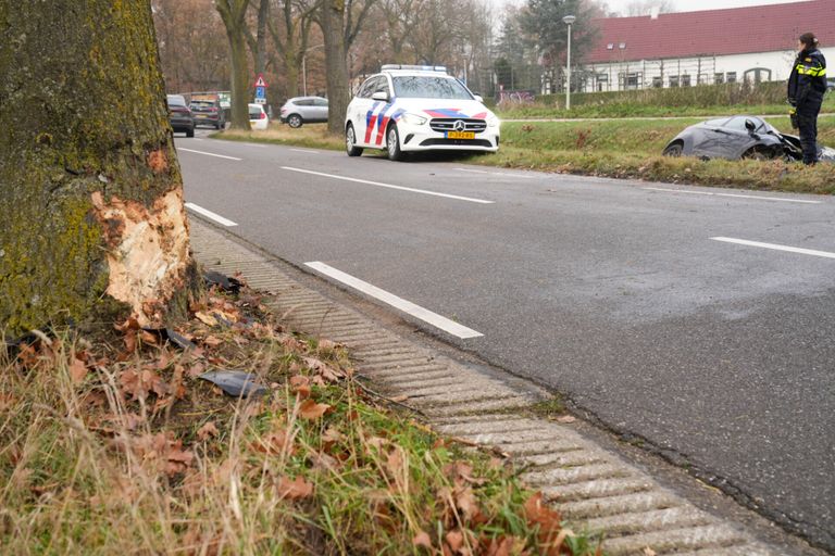 De boom waar de automobilist tegenaan reed (foto: Harrie Grijseels/SQ Vision).