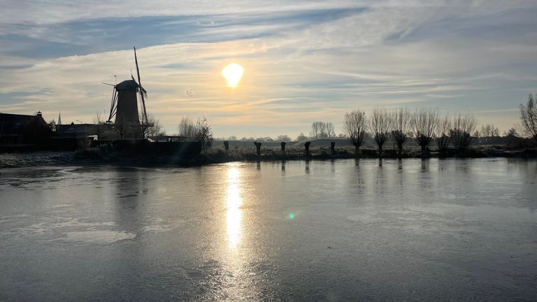 Winterse lust voor het oog in Terheijden (foto: Raymond Merkx).