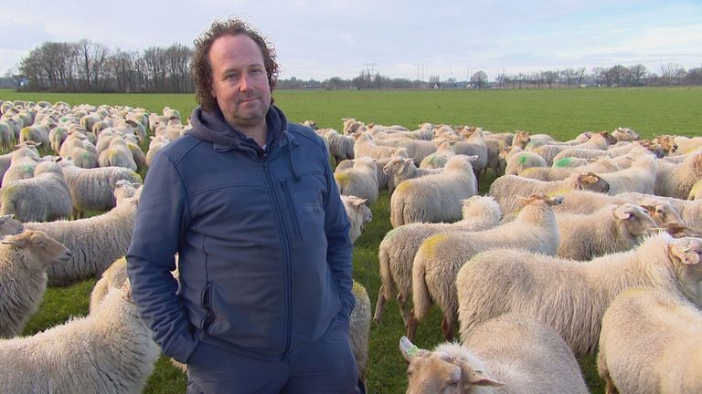 Schaapherder Bart van Ekkendonk uit Loon op Zand (foto: Omroep Brabant)