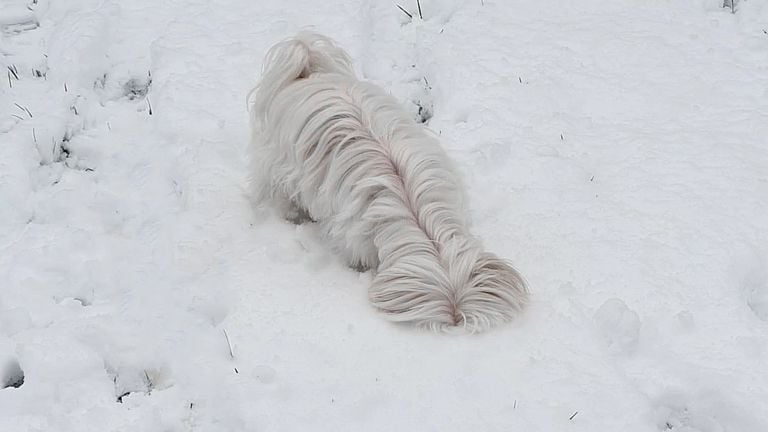 Foto: Marielle van den Bijgaart