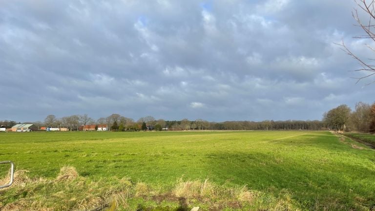 Op dit weiland moet het project komen (foto: Jos Verkuijlen).