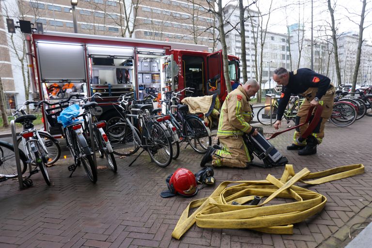 Foto: Arno van der Linden/SQ Vision