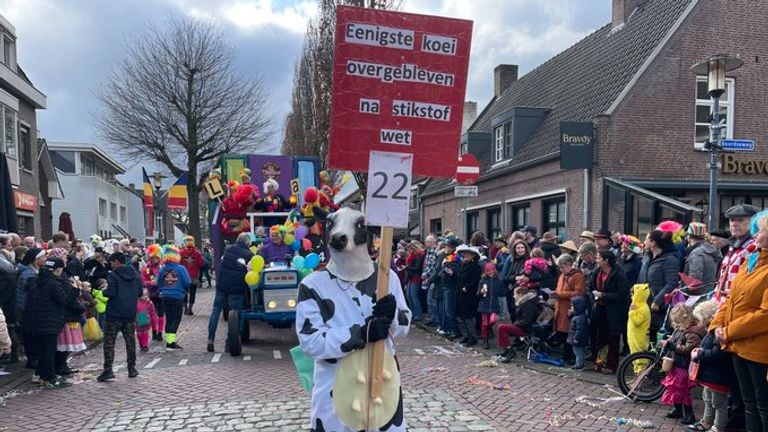 Met een boerenknipoog loopt daar de laatste koe (foto:René van Hoof)