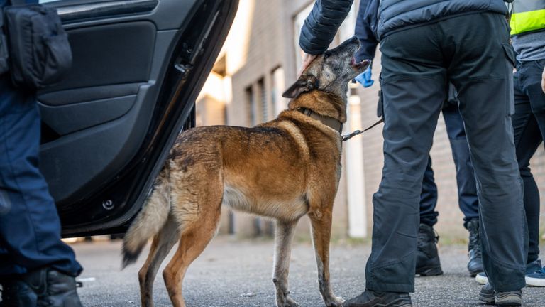 Een speurhond van de Landelijke Eenheid kwam ter plaatse om mee onderzoek te doen (foto: SQ Vision)