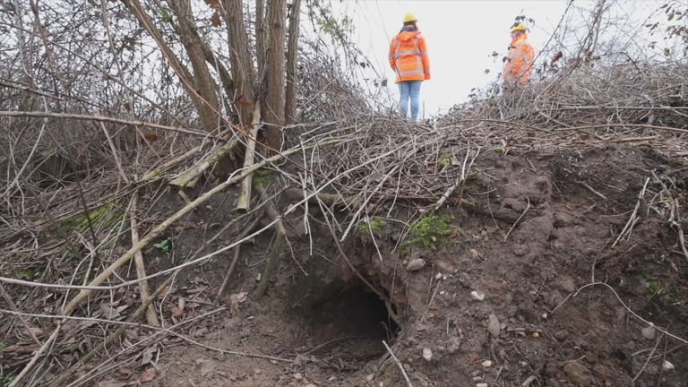 Een ingang van het dassenhol in Esch. (foto: Omroep Brabant).