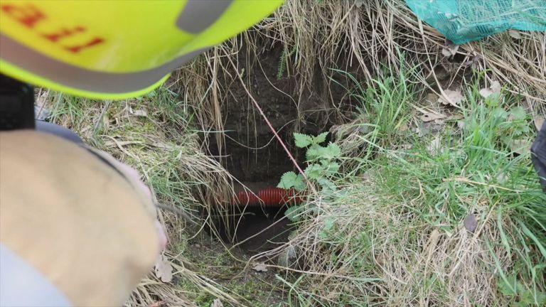 De das is dupe van beheerders van de spoordijk', zegt Dassenwerkgroep -  Omroep Brabant