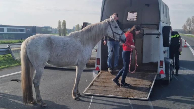 Foto: Politie Maashorst.