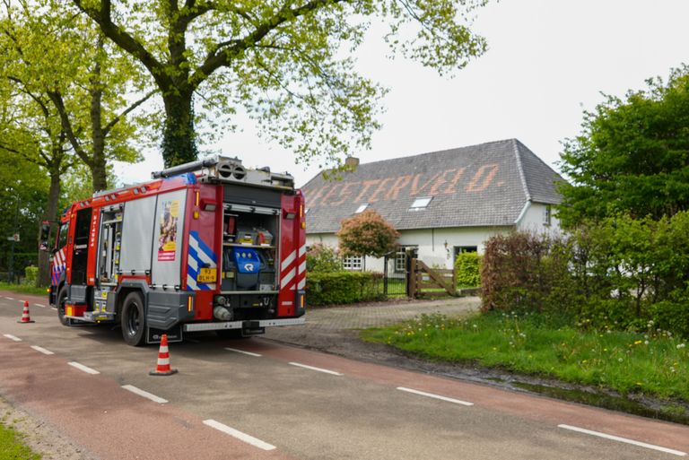 Foto: Gabor Heeres / SQ Vision