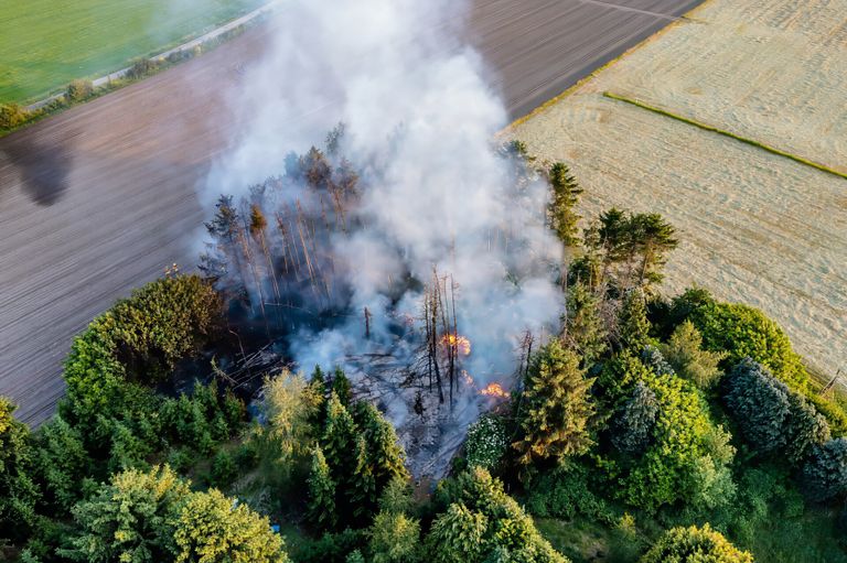 Brand in een bos in Tilburg (foto: Jack Brekelmans / SQ Vision).
