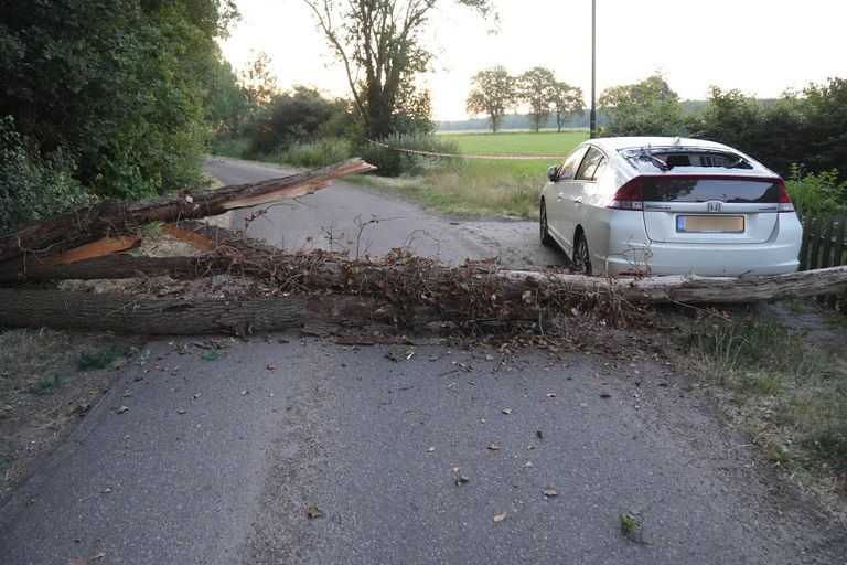 Schade aan auto  en huis door omgevallen boom (Foto: SQ Vision)