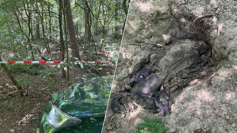 De hond werd in het natuurgebied in Dorst gevonden (foto: Instagram)