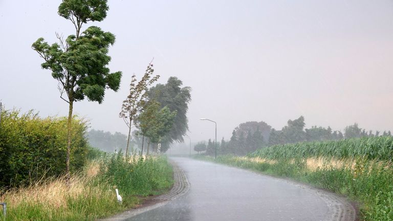 Regen in Zuidoost-Brabant (foto: Ben Saanen).