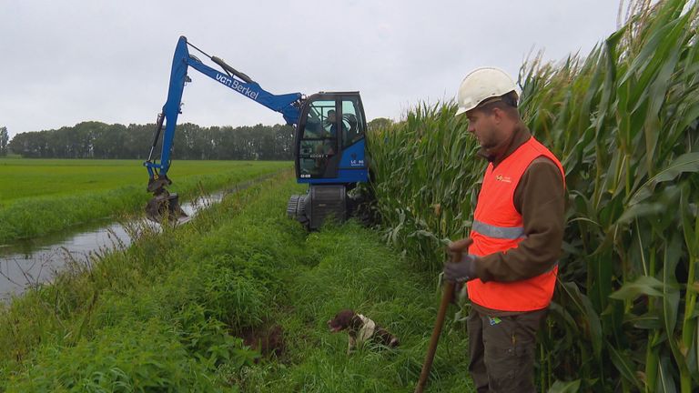 Hier op de onderhoudspaden zitten veel beverholen (foto: Jos Verkuijlen).