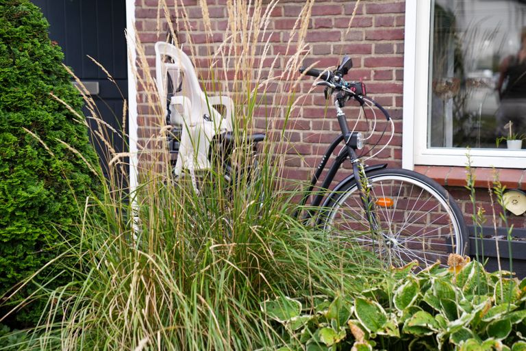 Foto: Harrie Grijseels/SQ Vision