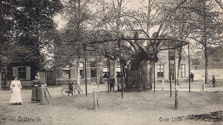 De boom op een kaart in circa 1920 (foto: Regionaal Archief Tilburg).
