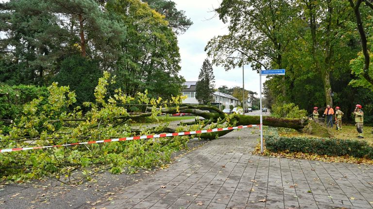 De omgewaaide boom in Tilburg (foto: Toby de Kort/SQ Vision).