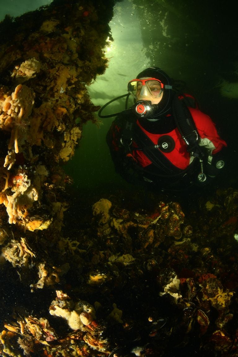 Diving buddy Carlin is Marco's model in the wide angle category with style