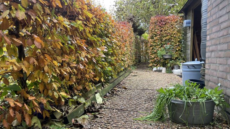 Hanneke wipte 80 tegels uit haar tuin (foto: Jos Verkuijlen).