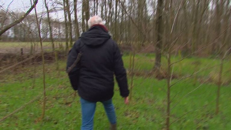 Joost loopt door het familiebos (Omroep Brabant)