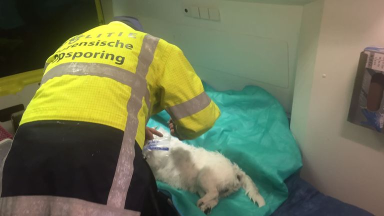 Foto: dierenambulance.