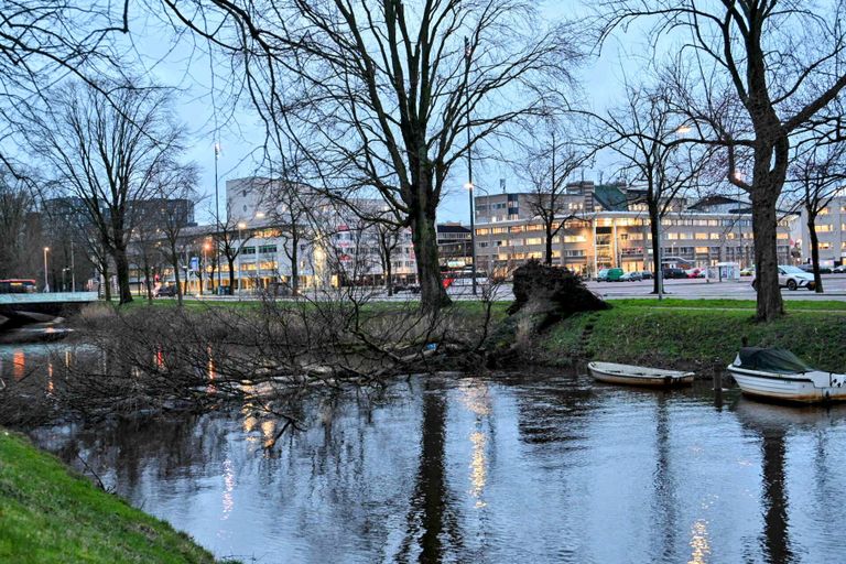 Boom in het water (foto: Tom van der Put/SQ Vision).