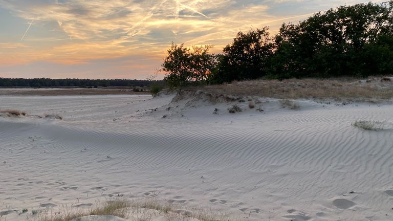 Wandelen in de Loonze en Drunense Duinen (foto: Frans Kapteijns).