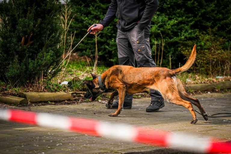 De politie doet onderzoek met een speurhond (foto: SQ Vision).