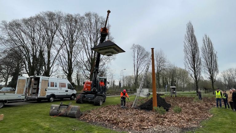 Vliegensvlug is de til neergezet (foto: Raymond Merkx).