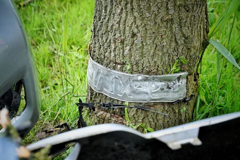 De kentekenplaat zit om de boom gevouwen (foto: Toby de Kort).