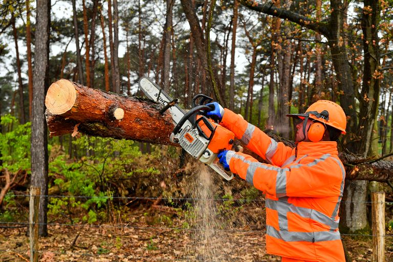 De brandweer maakt bomen klein (foto: Rico Vogels/SQ Vision)