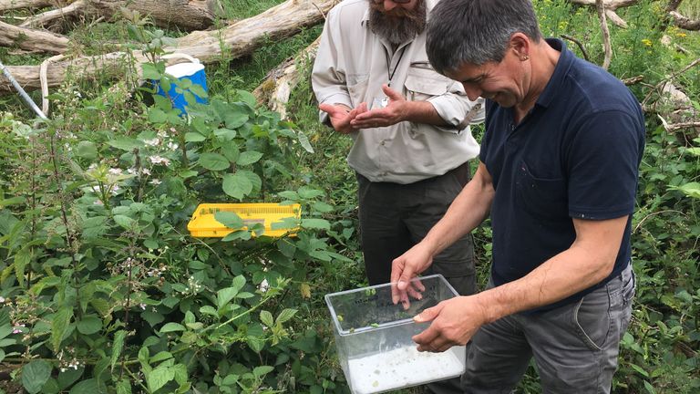 Ben Crombaghs aan het werk in de natuur (privéfoto).