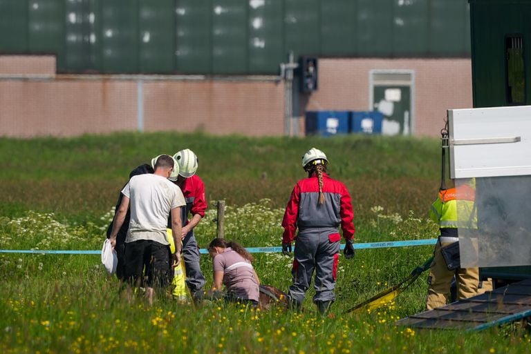 Het paard lag in het gras nadat het uit de sloot werd gered (foto: Gabor Heeres/SQ Vision).