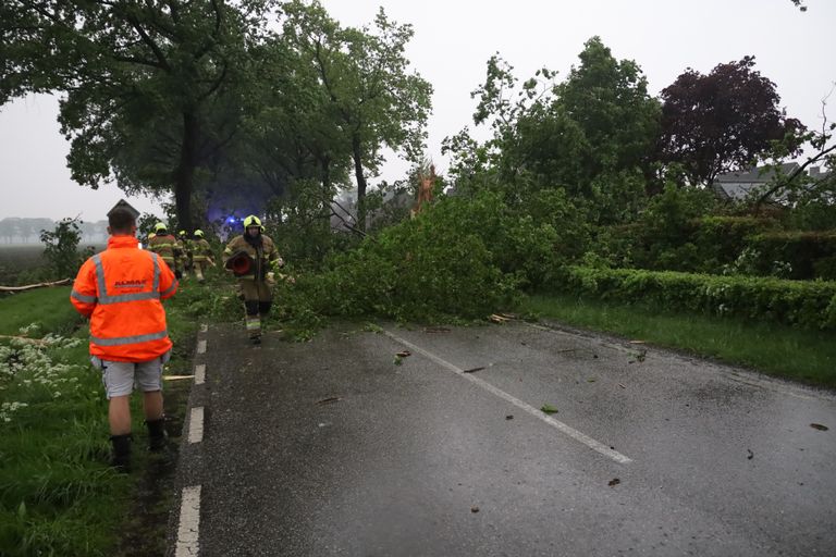 De brandweer moest de bomen van de weg halen (foto: SQ Vision/Kevin Kanters).