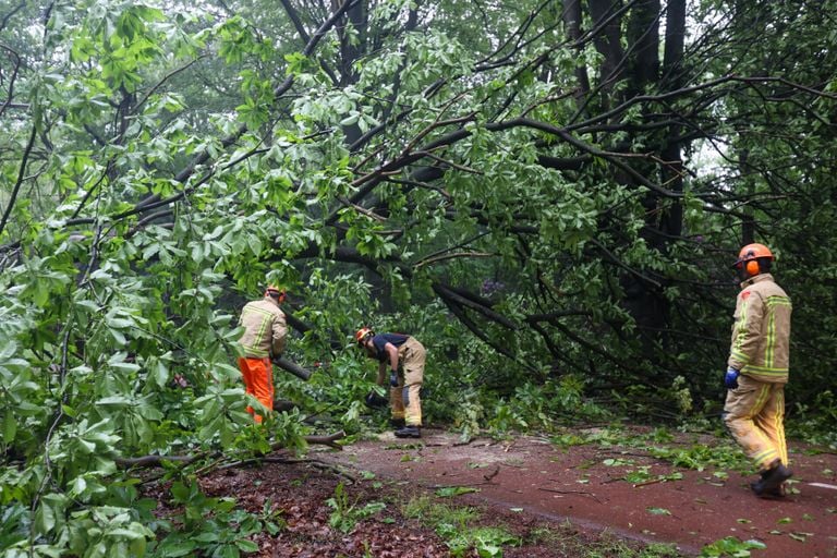 De brandweer aan het werk bij de omgewaaide boom (foto: SQ Vision/Arno van der Linden).